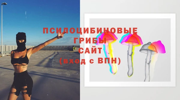дмт Алзамай