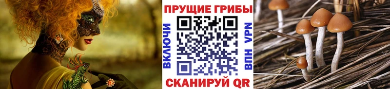 Галлюциногенные грибы MAGIC MUSHROOMS  даркнет официальный сайт  Крым 